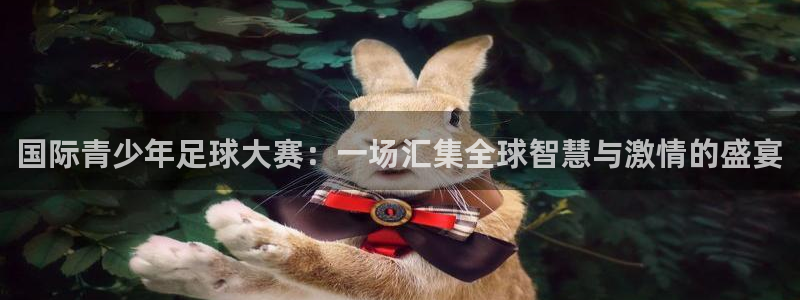  国际青少年足球大赛：一场汇集全球智慧与激情的盛宴