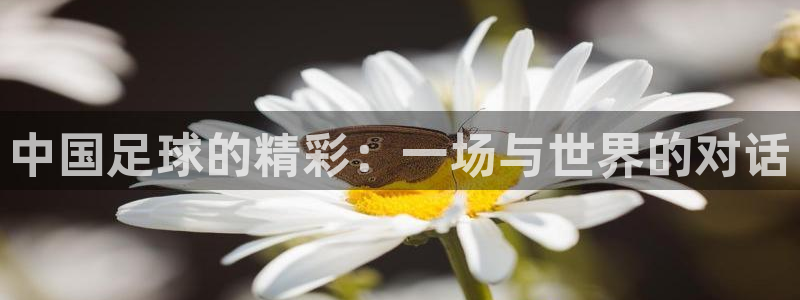 中国足球的精彩：一场与世界的对话