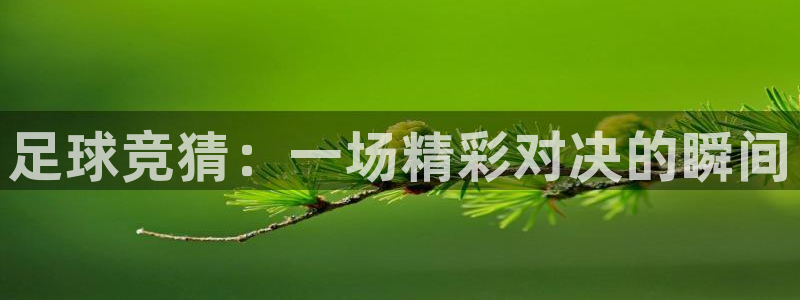 足球竞猜：一场精彩对决的瞬间