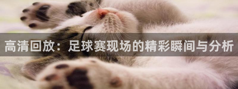高清回放：足球赛现场的精彩瞬间与分析