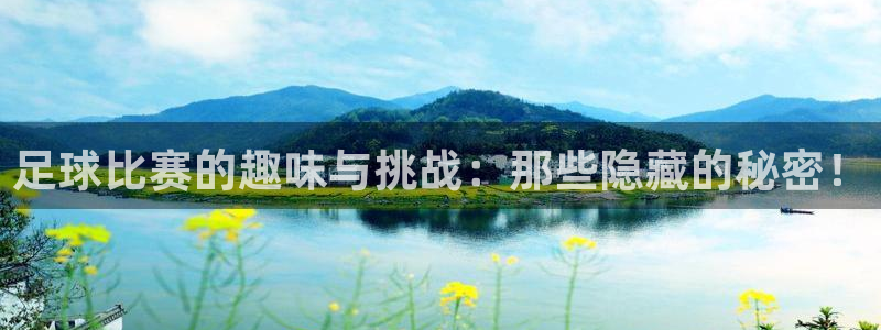  足球比赛的趣味与挑战：那些隐藏的秘密！