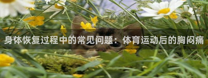 3377体育中国官方网站入口：身体恢复过程中的常见问题：体育运动后的胸闷痛