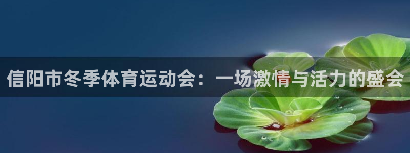 3377体育官网入口下载最新：信阳市冬季体育运动会：一场激情与活力的盛会