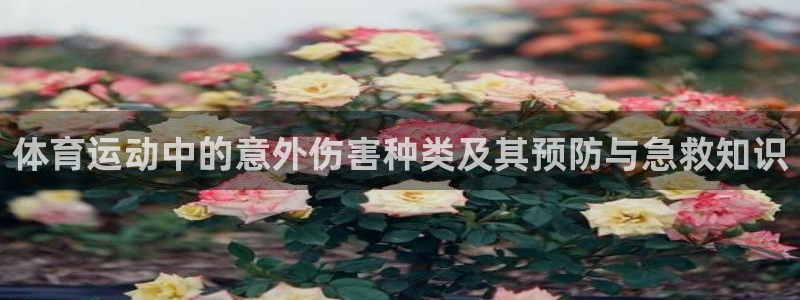 3377体育官网：体育运动中的意外伤害种类及其预防与急救知识