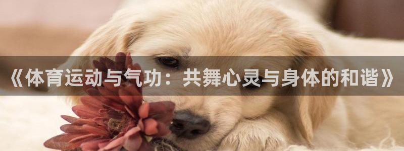 3377体育是正规的吗：《体育运动与气功：共舞心灵与身体的和谐》