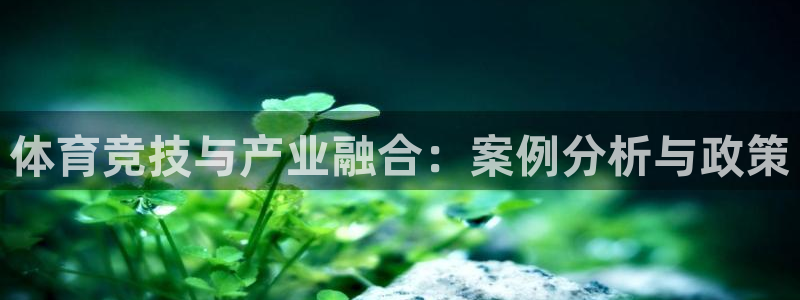 3377体育(中国)官方网站：体育竞技与产业融合：案例分析与政策