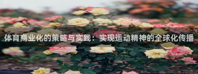 3377体育中国官方网站入口：体育商业化的策略与实践：实现运动精神的全球化传播