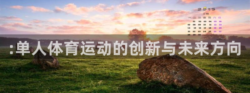 3377体育com：:单人体育运动的创新与未来方向