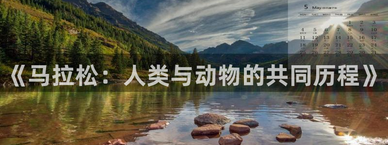 3377体育在线登录官网入口