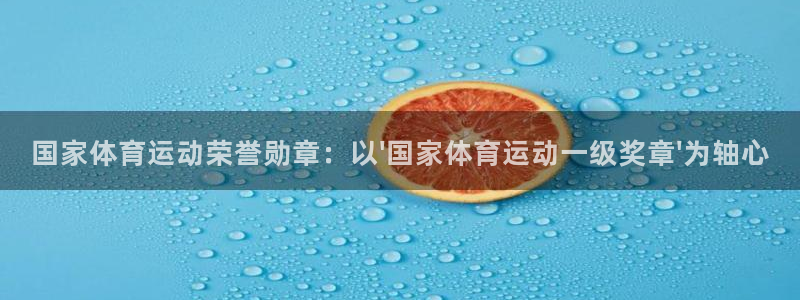3377体育全网