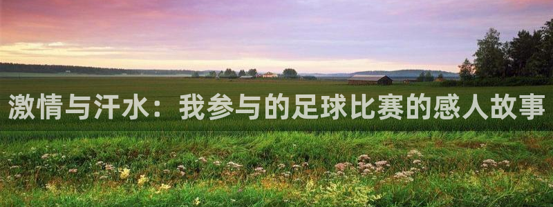 激情与汗水：我参与的足球比赛的感人故