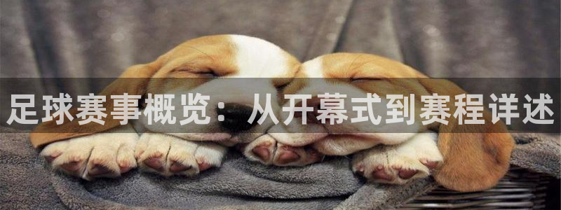 足球赛事概览：从开幕式到赛程详述