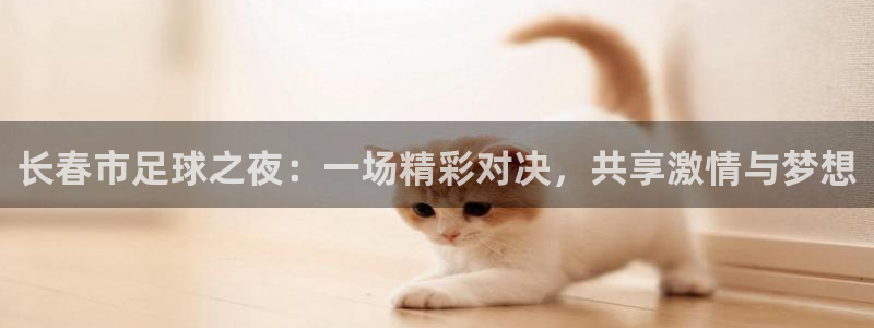 长春市足球之夜：一场精彩对决，共享激
