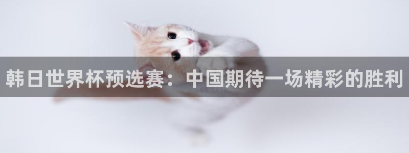 韩日世界杯预选赛：中国期待一场精彩的