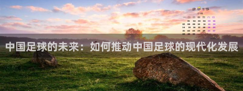 中国足球的未来：如何推动中国足球的现