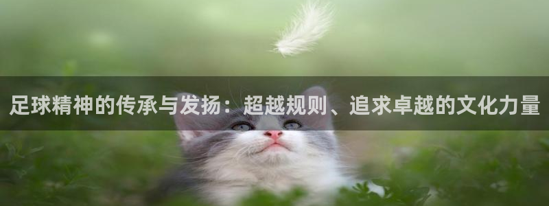 足球精神的传承与发扬：超越规则、追求