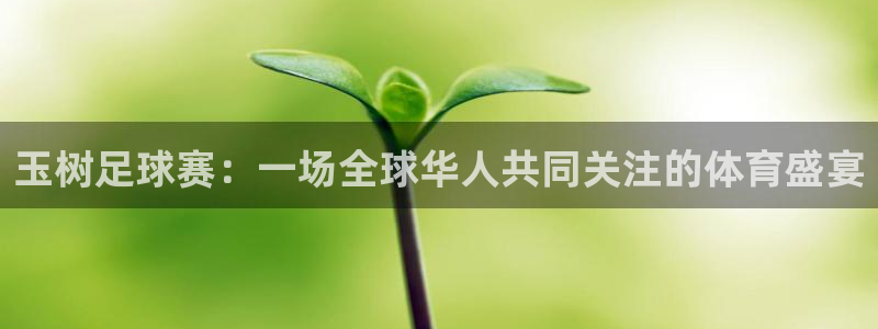 玉树足球赛：一场全球华人共同关注的体