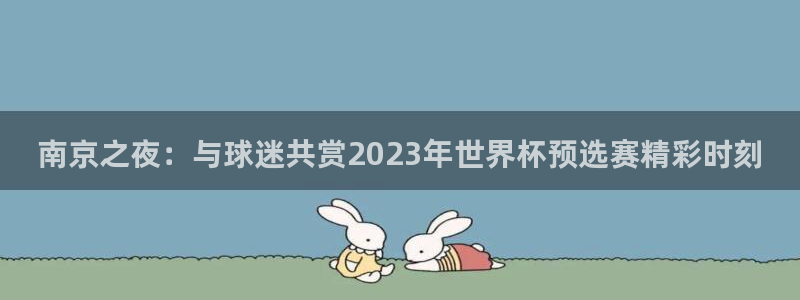 南京之夜：与球迷共赏2023年世界杯预选赛精彩时刻