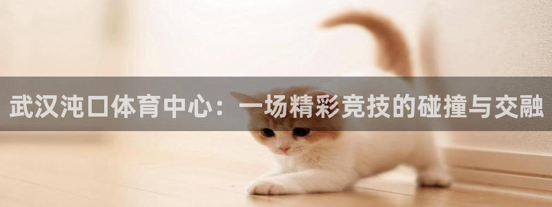  武汉沌口体育中心：一场精彩竞技的碰撞与交融