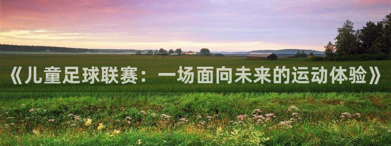  《儿童足球联赛：一场面向未来的运动体验》