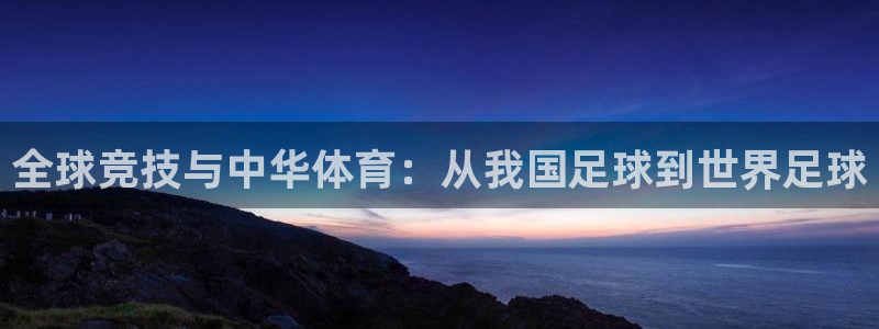 全球竞技与中华体育：从我国足球到世界