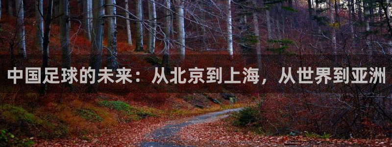 中国足球的未来：从北京到上海，从世界