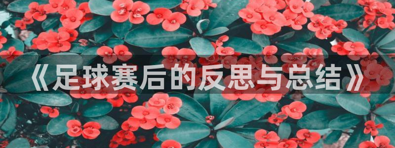 《足球赛后的反思与总结》