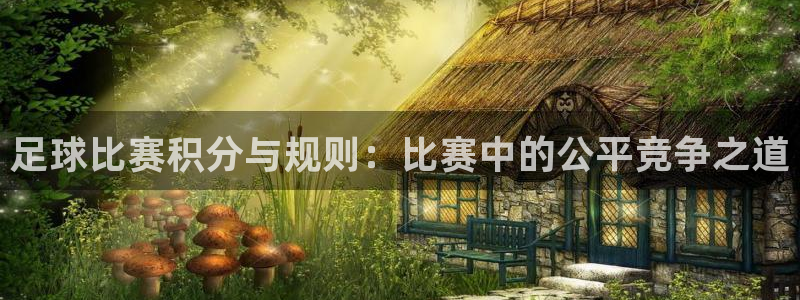 足球比赛积分与规则：比赛中的公平竞争