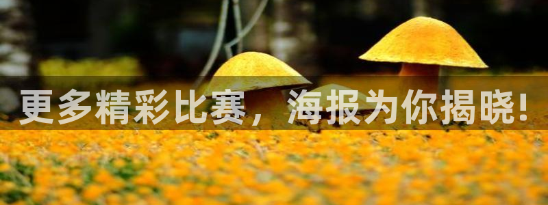更多精彩比赛，海报为你揭晓!